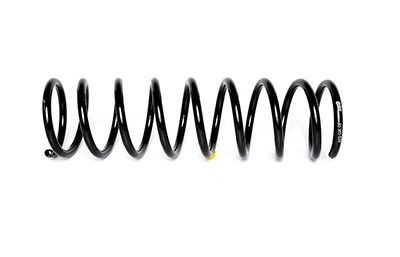 Пружина задняя BSG30305020 BSG (фото №1)